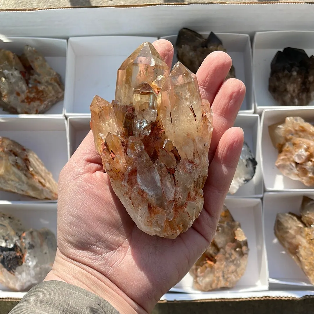 3.58kg Lot of 12 Kundalini Quartz Citrine, Democratic Republic of Congo, Lwena, Congo Citrine