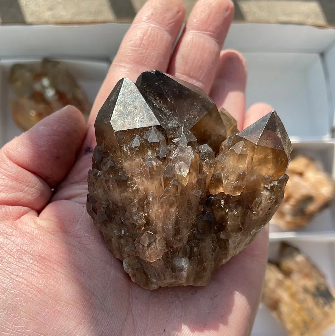 3.58kg Lot of 12 Kundalini Quartz Citrine, Democratic Republic of Congo, Lwena, Congo Citrine