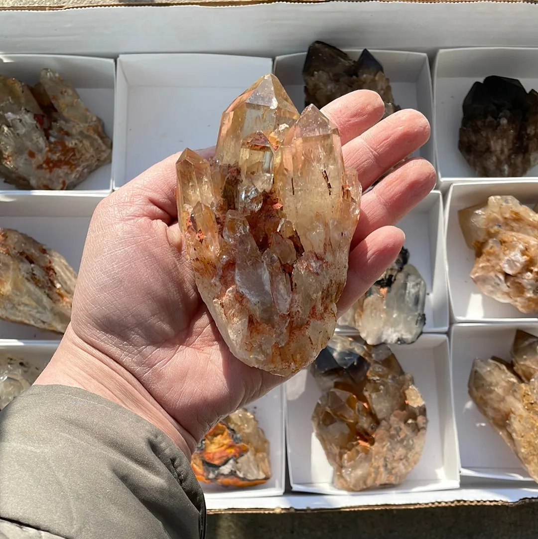 3.58kg Lot of 12 Kundalini Quartz Citrine, Democratic Republic of Congo, Lwena, Congo Citrine