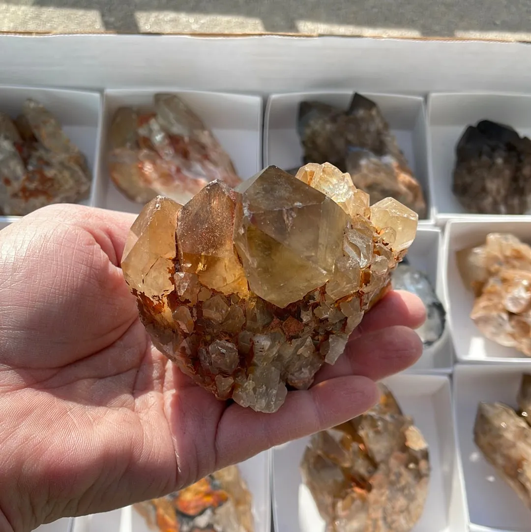 3.58kg Lot of 12 Kundalini Quartz Citrine, Democratic Republic of Congo, Lwena, Congo Citrine
