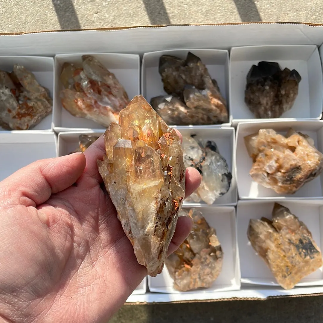 3.58kg Lot of 12 Kundalini Quartz Citrine, Democratic Republic of Congo, Lwena, Congo Citrine