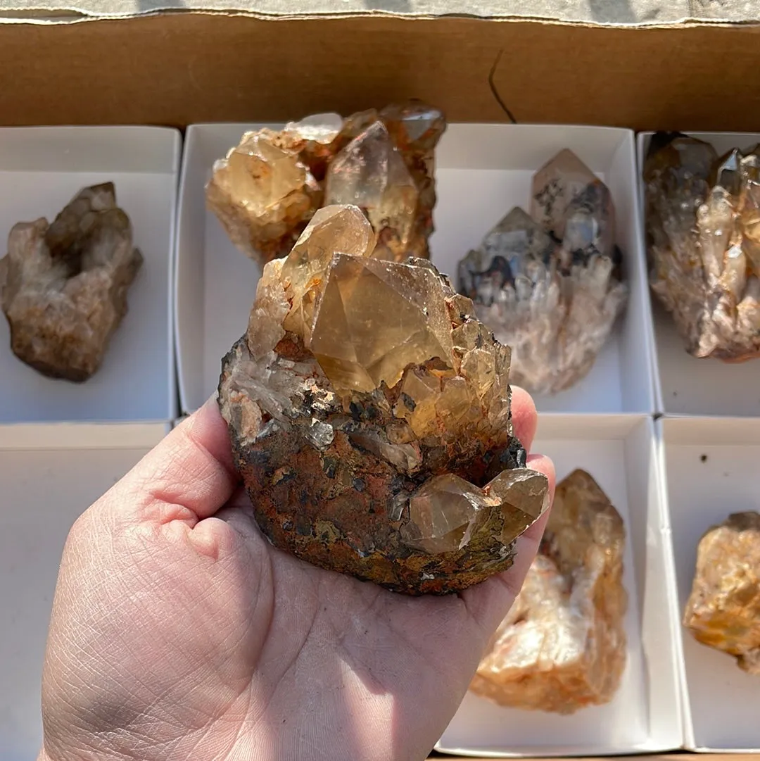 4.15kg Lot of 8 Kundalini Quartz Citrine, Democratic Republic of Congo, Lwena, Congo Citrine