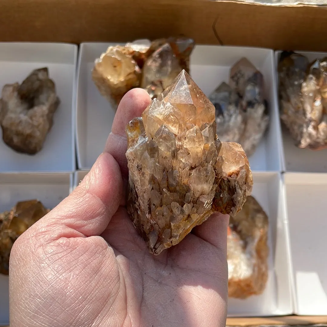 4.15kg Lot of 8 Kundalini Quartz Citrine, Democratic Republic of Congo, Lwena, Congo Citrine