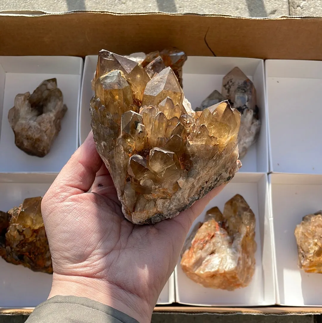 4.15kg Lot of 8 Kundalini Quartz Citrine, Democratic Republic of Congo, Lwena, Congo Citrine