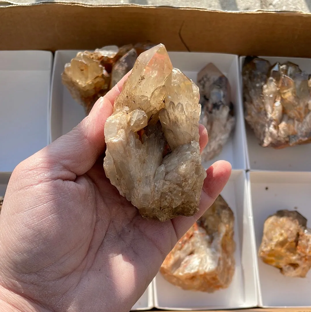 4.15kg Lot of 8 Kundalini Quartz Citrine, Democratic Republic of Congo, Lwena, Congo Citrine