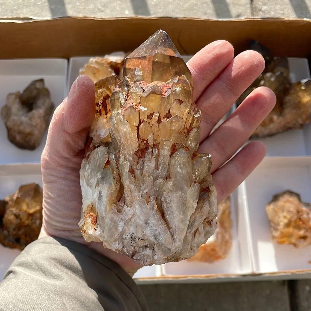 4.15kg Lot of 8 Kundalini Quartz Citrine, Democratic Republic of Congo, Lwena, Congo Citrine