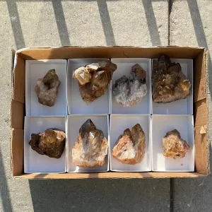 4.15kg Lot of 8 Kundalini Quartz Citrine, Democratic Republic of Congo, Lwena, Congo Citrine