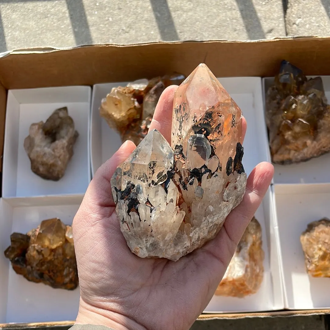 4.15kg Lot of 8 Kundalini Quartz Citrine, Democratic Republic of Congo, Lwena, Congo Citrine