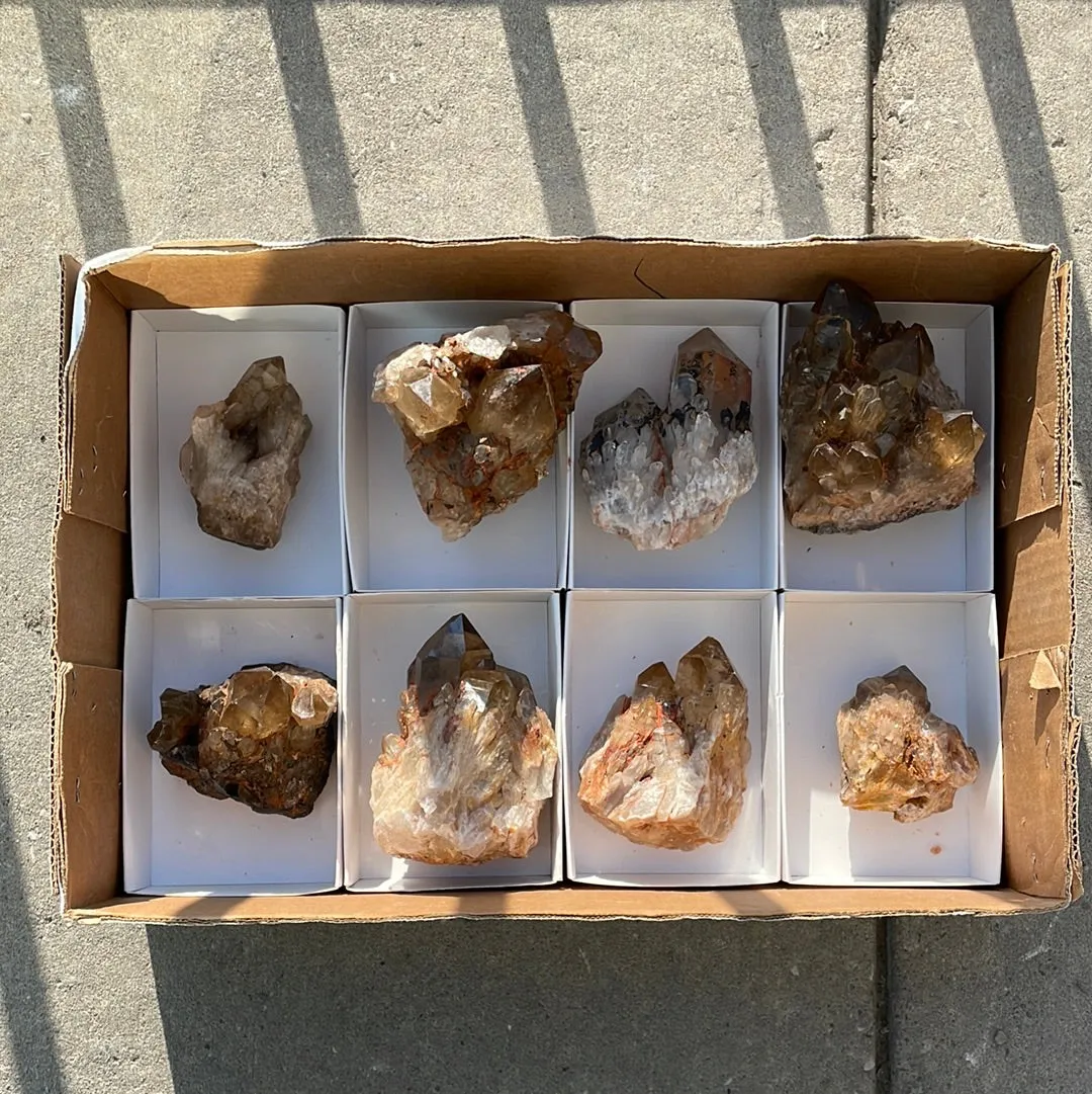 4.15kg Lot of 8 Kundalini Quartz Citrine, Democratic Republic of Congo, Lwena, Congo Citrine