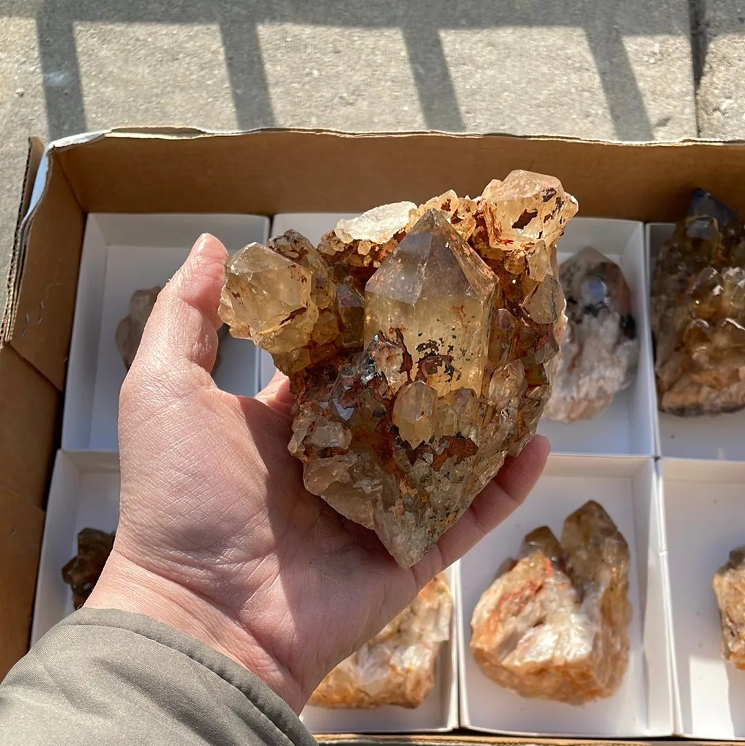 4.15kg Lot of 8 Kundalini Quartz Citrine, Democratic Republic of Congo, Lwena, Congo Citrine