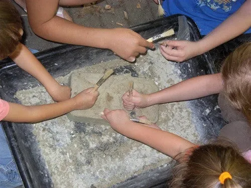 EXTREME GIANT Fossil & Mineral Excavation - Hundreds of REAL specimens!
