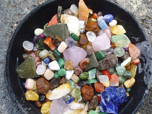 EXTREME GIANT Fossil & Mineral Excavation - Hundreds of REAL specimens!