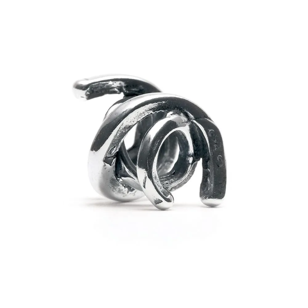 Good Luck Charm, Silver