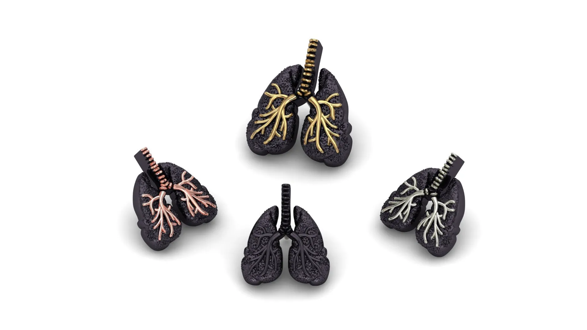 Lungs