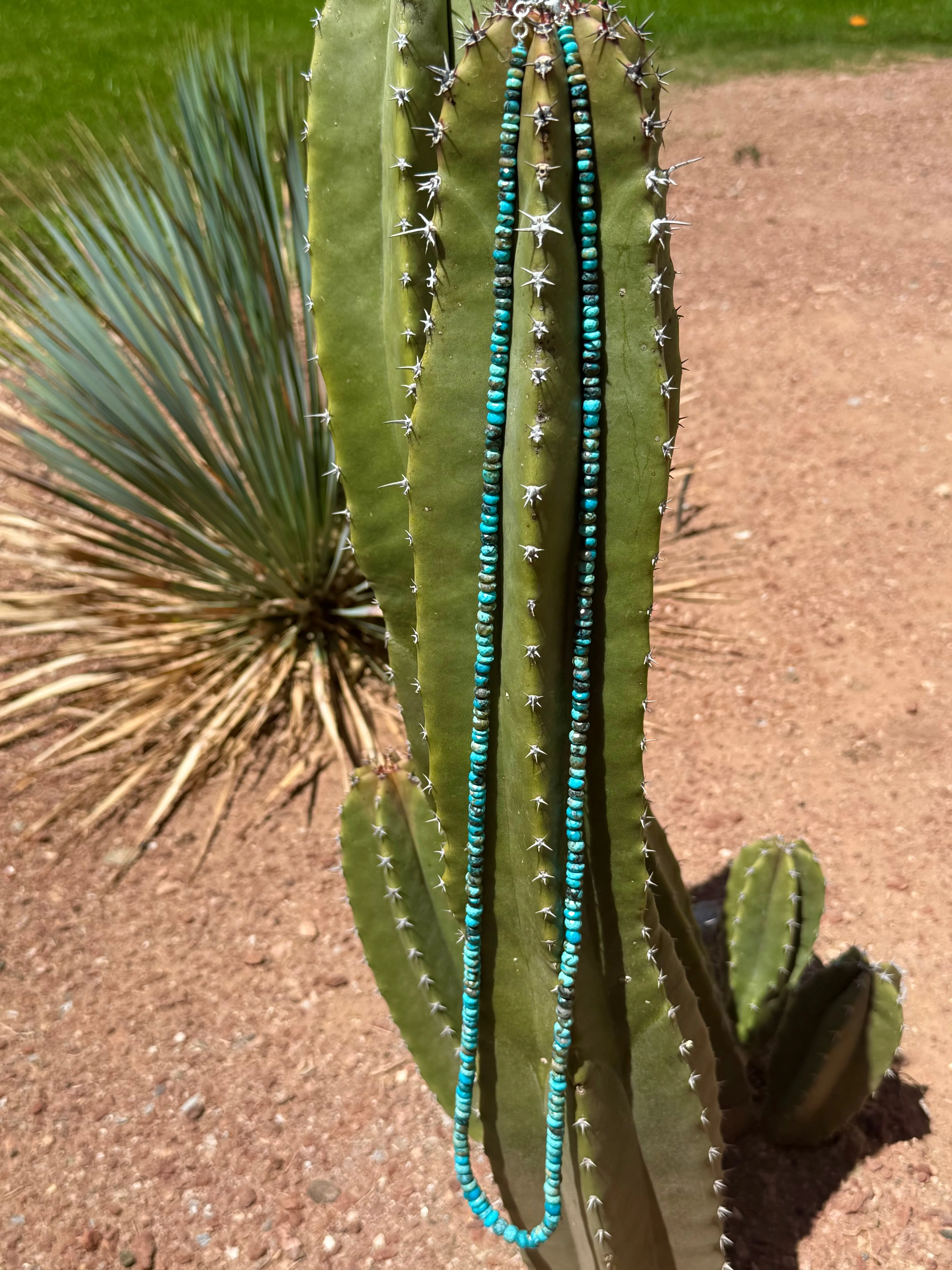 Rare Sleeping Beauty Faceted Turquoise Long Necklace