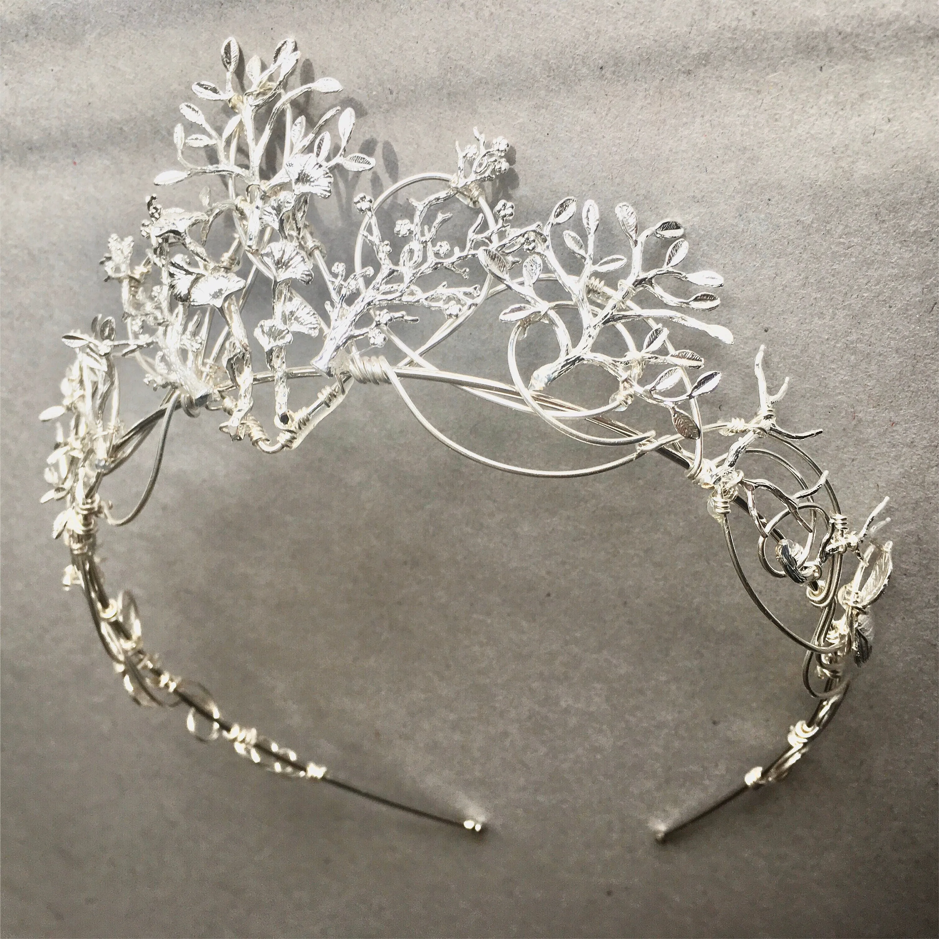The VEDA Crown