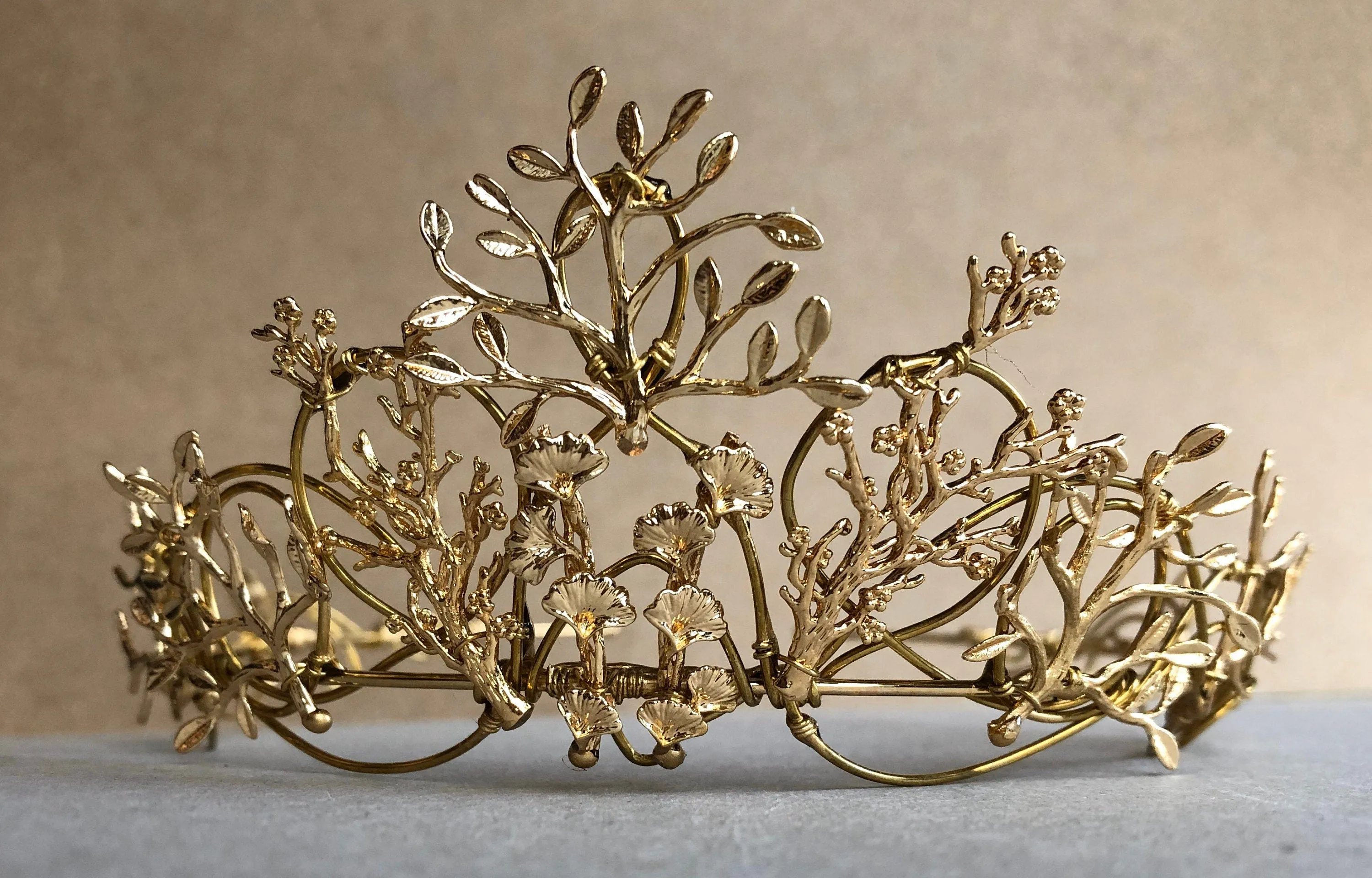 The VEDA Crown