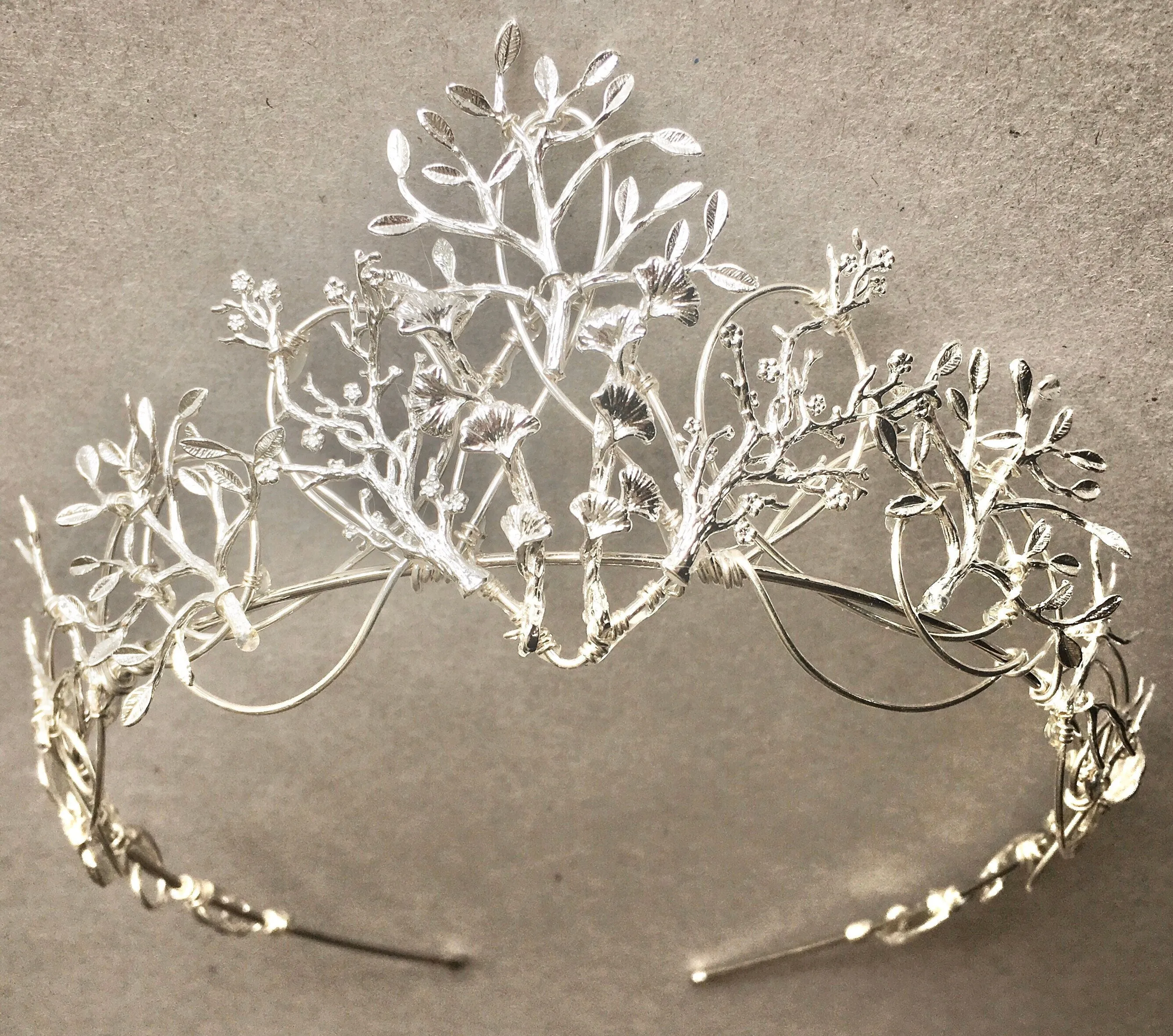 The VEDA Crown