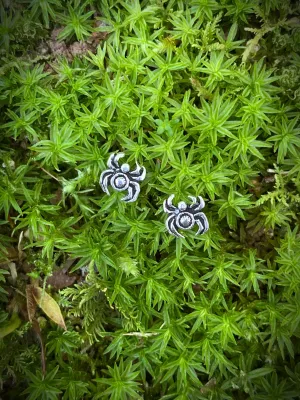 Tiny Spider Posts